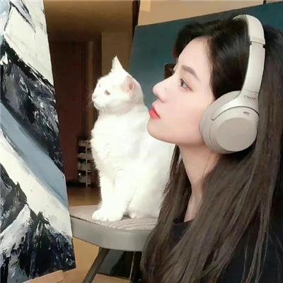 拿着手术刀的猎人